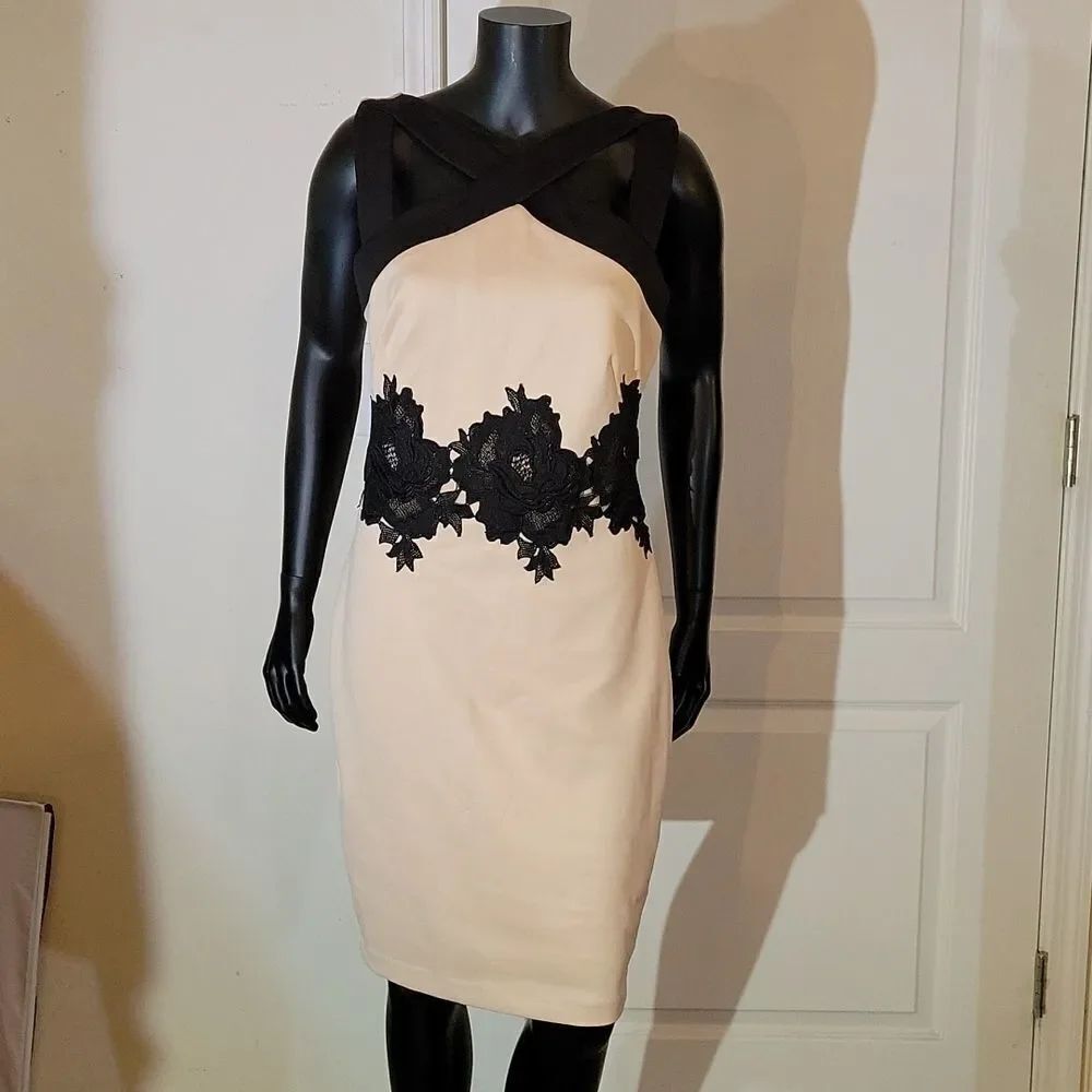 BRAND NEW JAX WOMEN"S SLEEVELESS KNEE LENGTH DRESS - Picture 2 of 12